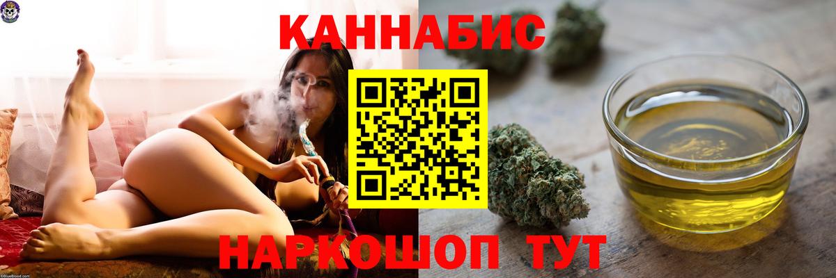 Каннабис сатива Владикавказ
